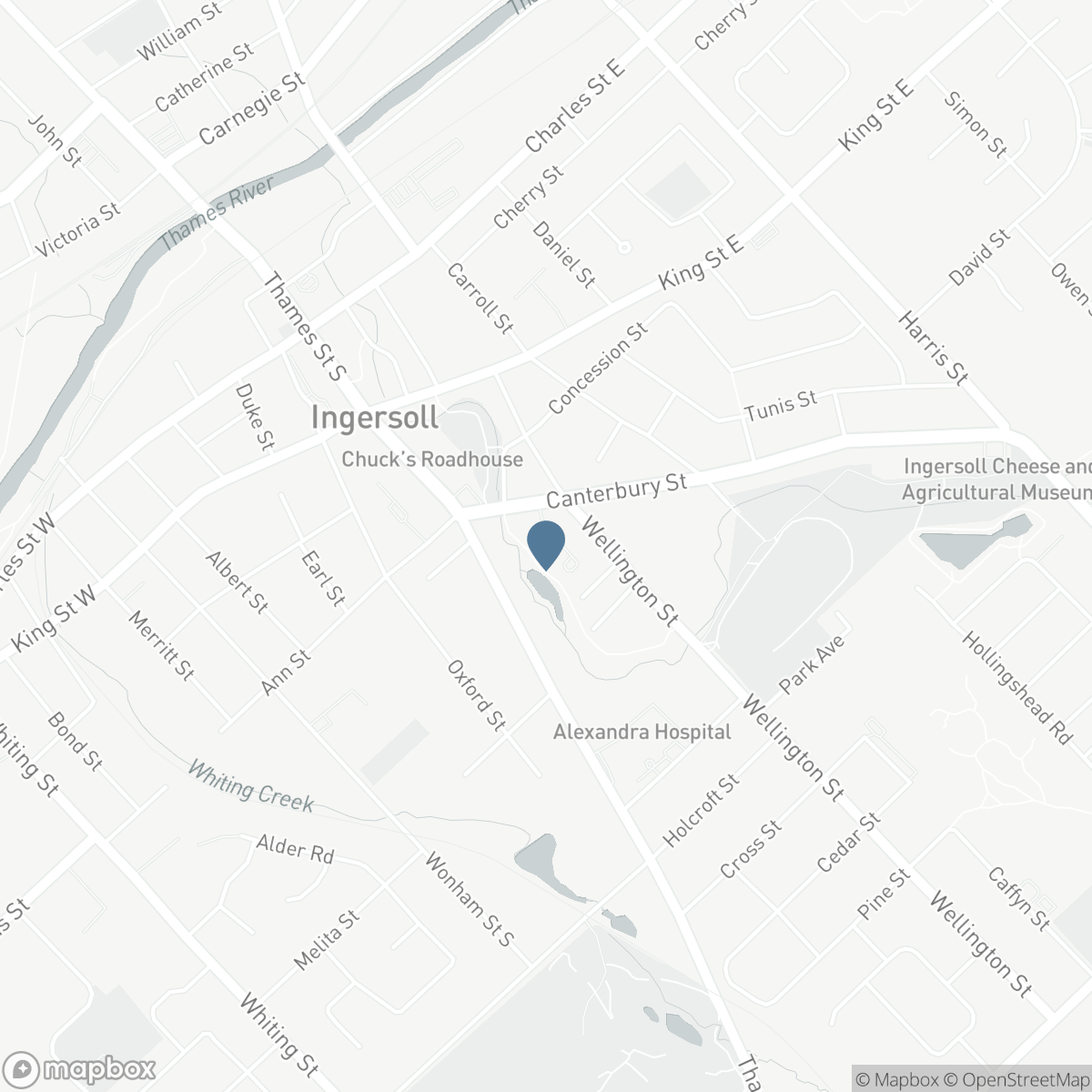 46 CANTERBURY Street Unit# 307, Ingersoll, Ontario N5C 1C4